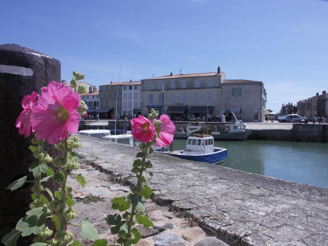 Appartement Fauvette Saint-Martin-de-Ré Exteriör bild